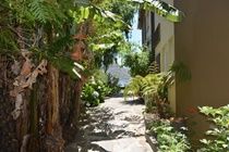 Engenho Velho Estalagem Hotel Arco da Calheta  Bagian luar foto
